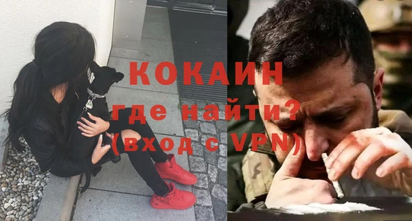прущие грибы Абдулино