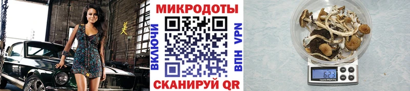 Псилоцибиновые грибы ЛСД  ссылка на мегу маркетплейс  Абаза 